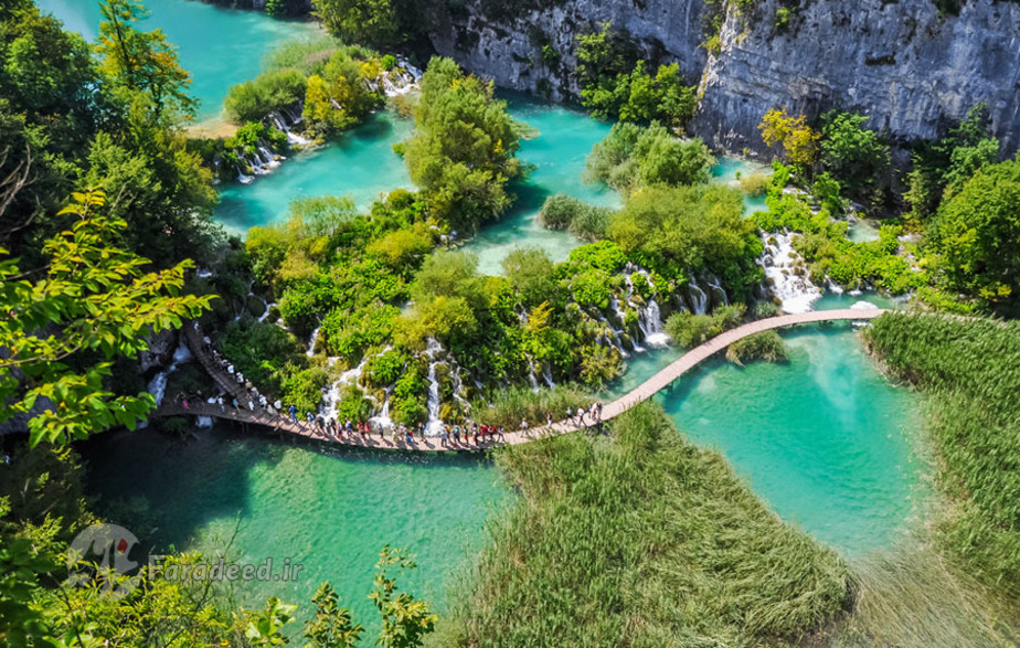 یک روز تابستانی در پارک ملی 