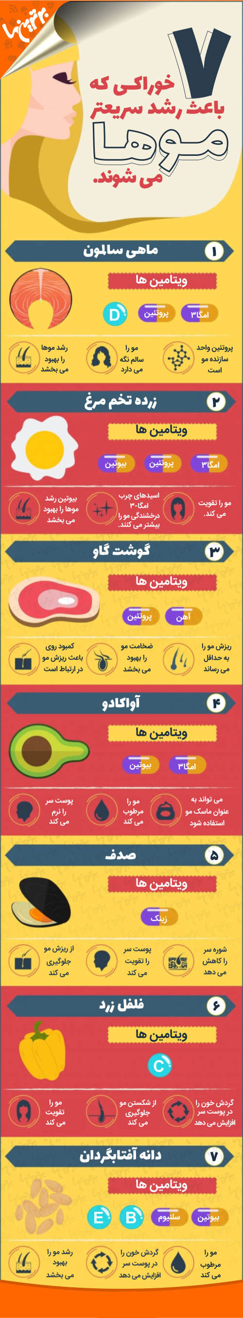 اینفوگرافی؛ ۷ خوراکی که باعث رشد سریعتر موها می‌شوند