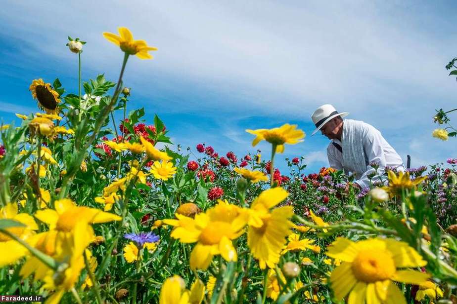 نمایشگاه کشاورزی در کلمبیا