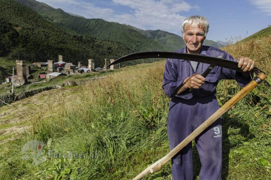جورجیا (ایالتی در آمریکای جنوبی) - عکس از استفانی پنسوتی