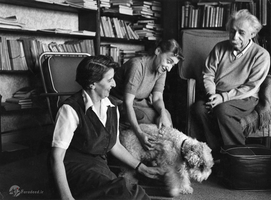 آلبرت اینشتین در دفتر خود با سگ خود، 1953