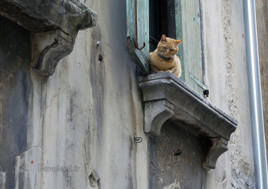 خانه‌های قدیمی شهر 