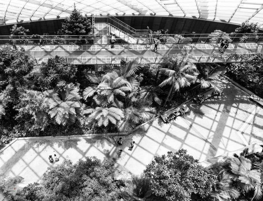 استفان استود، داخل گلخانه، سنگاپور 