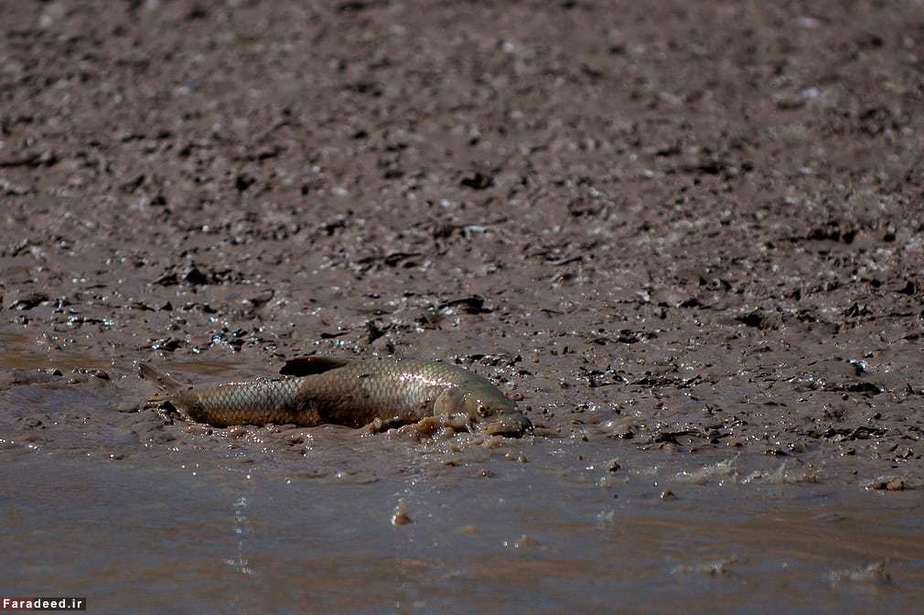 خشکسالی؛ اسپانیا