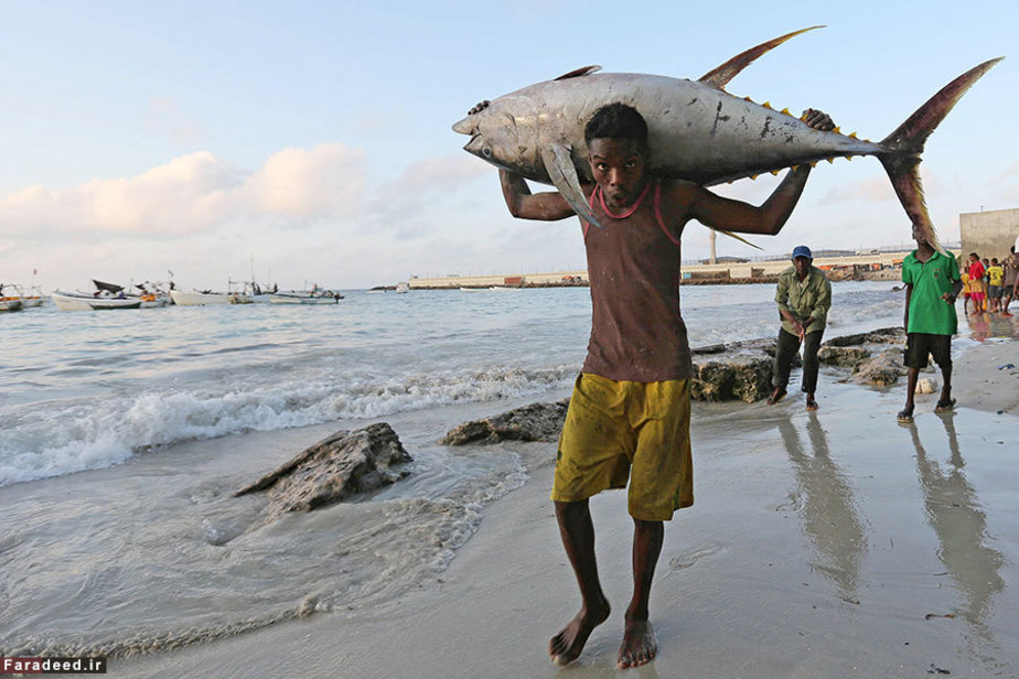 ماهیگیر در موگادیشو