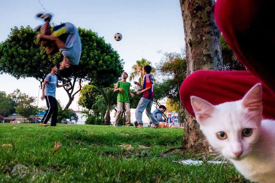 پارک مولای راچید(دیپلمات مراکشی)، کازابلانکا،2015