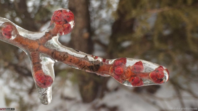 بهار در بند؛ باران منجمد شده در تلاش برای به تعویق انداختن بهار