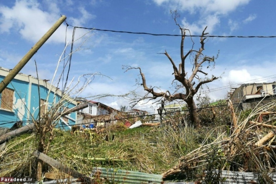 خسارات توفان در جزیره کارائیب دومینیکا