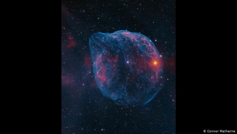 دلفینی در فضا 