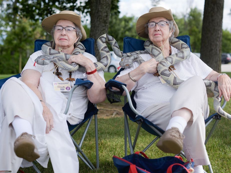 جشنواره دوقلوها