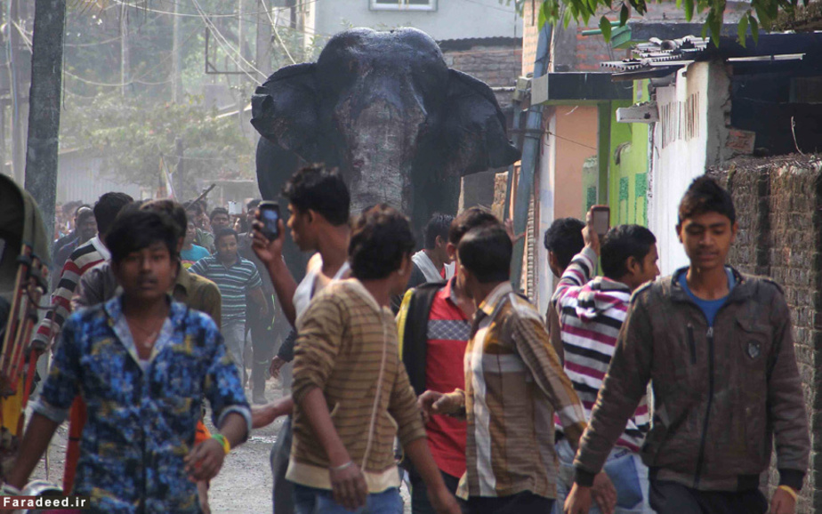 آمدن فیل وحشی به خیابان در ایالت بنگال AP Photo
