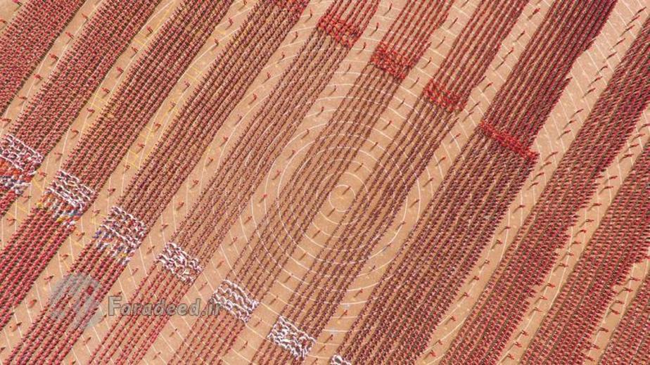 دانش آموزان یک مدرسه هنرهای رزمی در حال تمرین کردن. اتسان هنان.