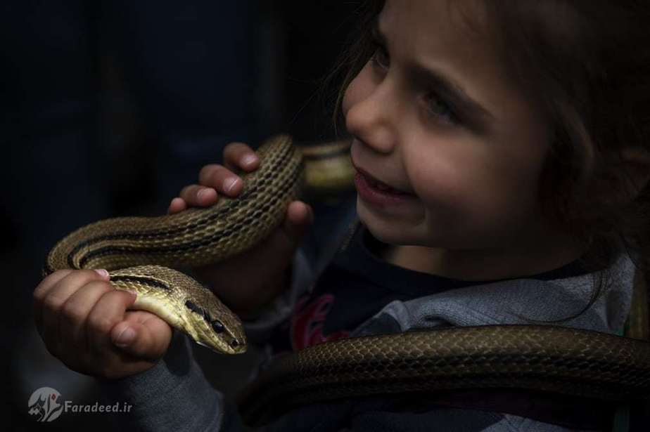 دختر کوچکی که با لبخند ماری را در دست خود نگه داشته است