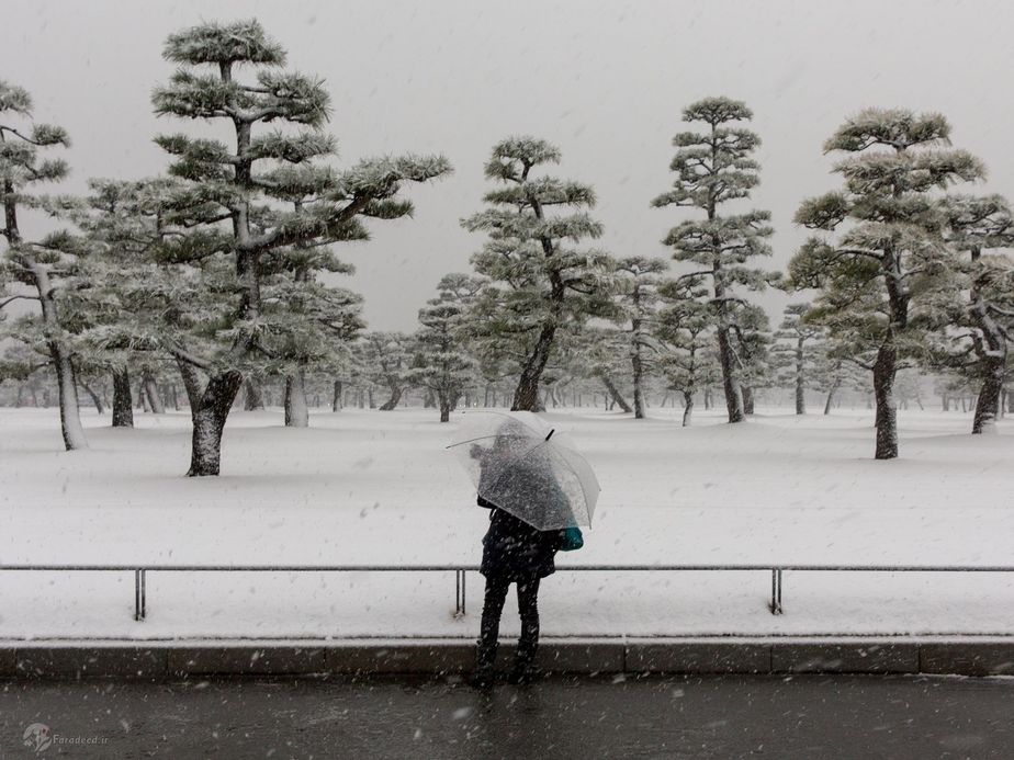 زنی در حال تماشای بارش برف.(ژاپن)