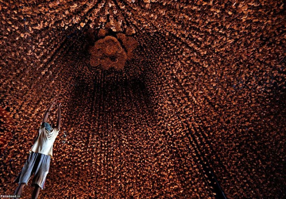 مقدمات جشنواره در کلکته