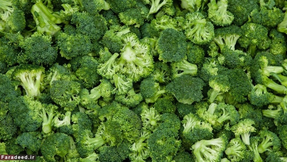 کلم بروکلی حاوی 90.7 درصد آب می باشد.
