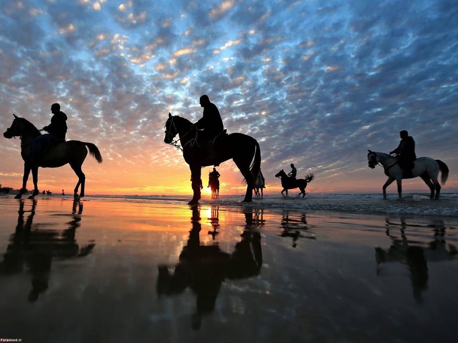 هنگام غروب خورشید در ساحل غزه