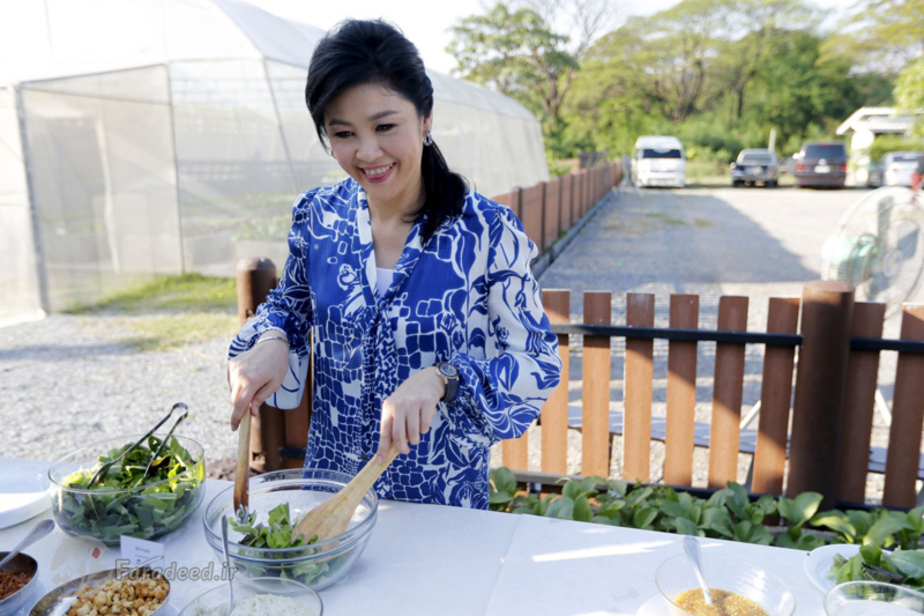 شیناواترا پس از برکناری از قدرت در باغچه شخصی خود در بانکوک به پرورش گل و گیاه مشغول است. سال 2016