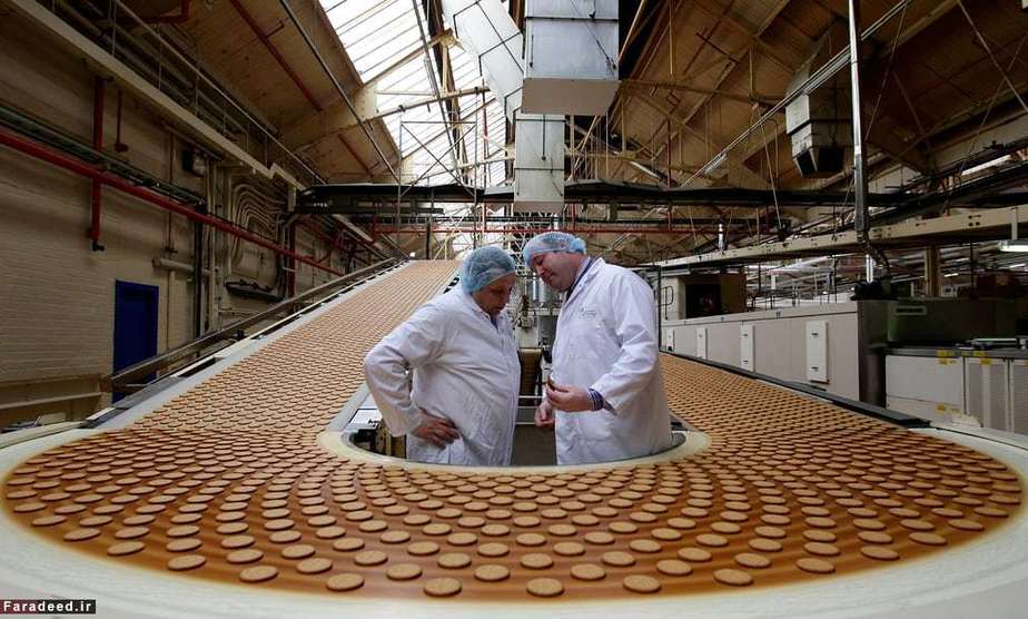 خط تولید بیسکوییت در آلمان